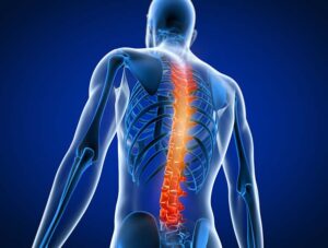 Spine Image